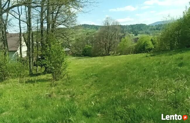 Działka budowlana Krzeszów 38 arów