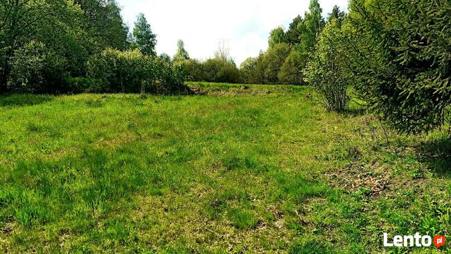 Działka budowlana Krzeszów 38 arów