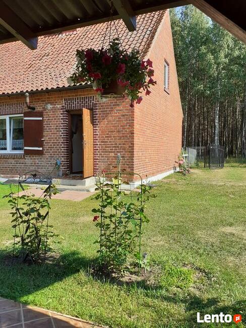 Mazury.Dom letniskowy do wynajęcia
