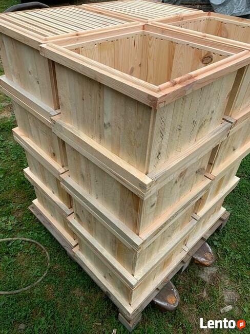 Korpus ul wielkopolski szkielet 10 i 12 ramkowy