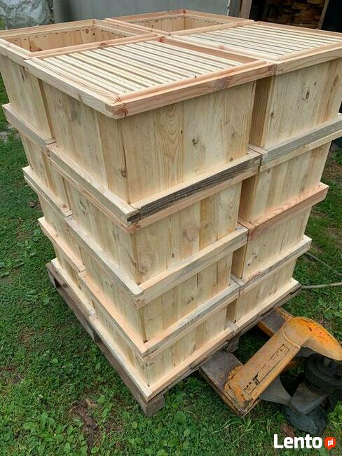 Korpus ul wielkopolski szkielet 10 i 12 ramkowy