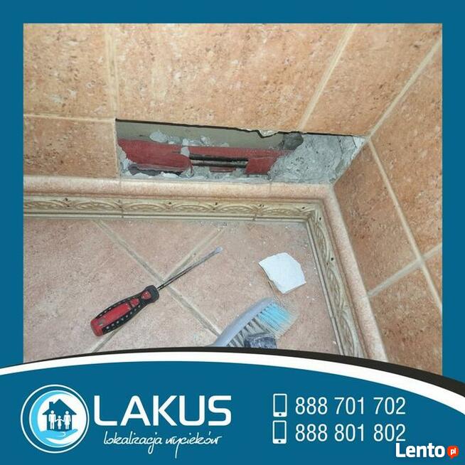 Wyszukiwanie wycieków