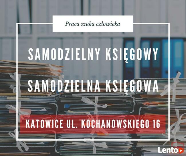 PRACA Księgowy - Księgowa Katowice