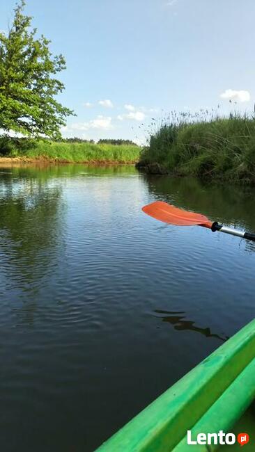 Kajaki Barycz Milicz