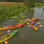 Kajaki Barycz Milicz