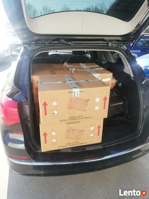 TRANSPORT OSOBOWY DO SANATORIUM LOTNISKA 733 791 005