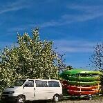 Kajaki Barycz Milicz