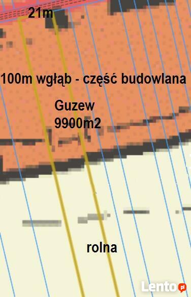Działka Guzew, 9900m2, szer. 21m, 100m wgłąb pod zabudowę