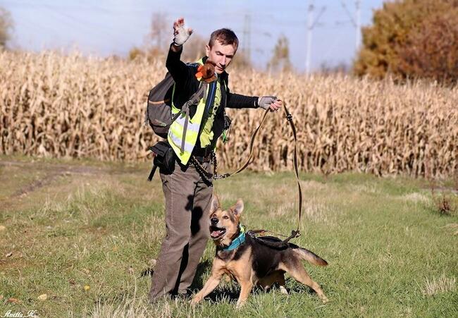 Kubuś kochany seniorek szuka domu z ogrodem Marta Leśn.