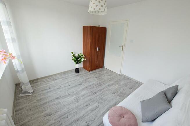 2-pokoje/od zaraz/kupujący 0% prowizji!