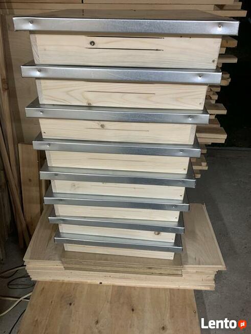 Daszek do ula wielkopolskiego