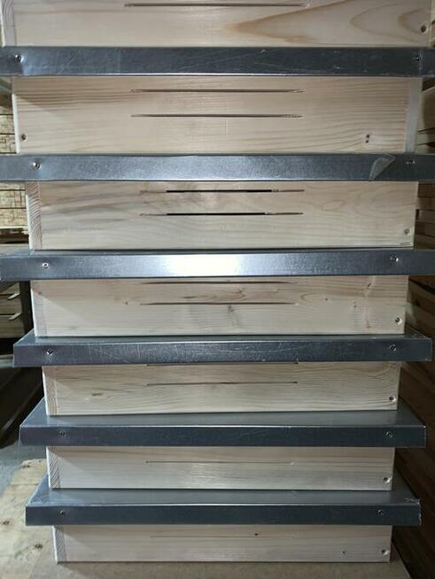 Daszek do ula wielkopolskiego