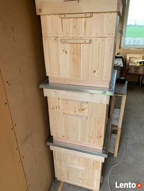 Daszek do ula wielkopolskiego