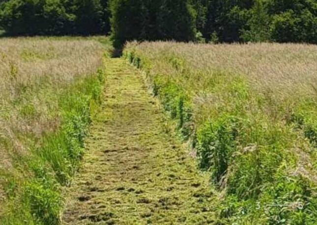 KOSZENIE TRAWY NIEUZYTKOW RYKI DEBLIN