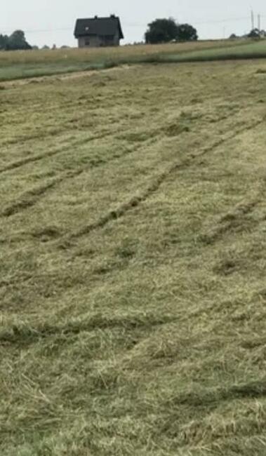 Koszenie trawy nieużytków PULAWY PUŁAWY TANIO