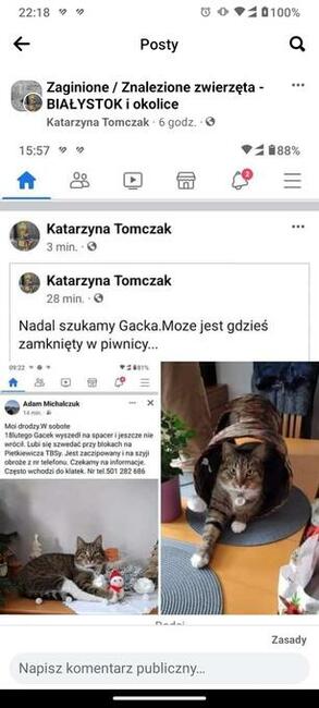 Zaginął