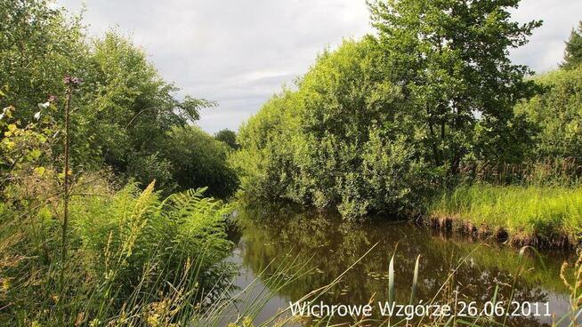 Szukam pomocy, albo wspólnika.