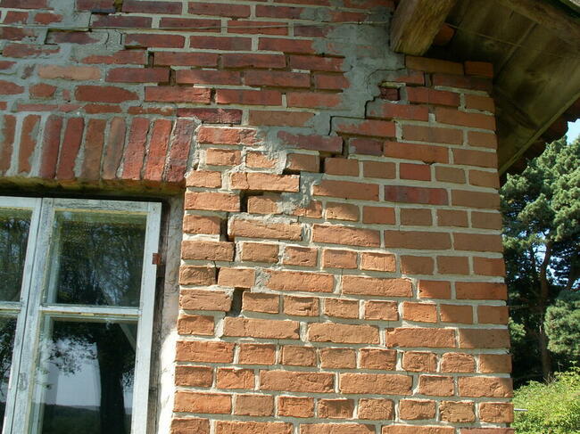 Szukam pomocy, albo wspólnika.