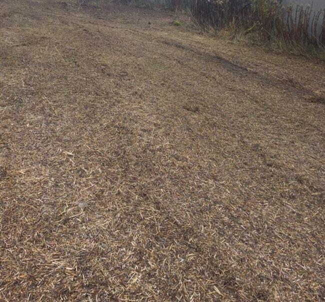 KOSZENIE TRAWY NIEUZYTKOW RYKI DEBLIN