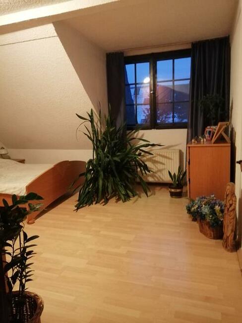 Dom jednorodzinny na sprzedaż