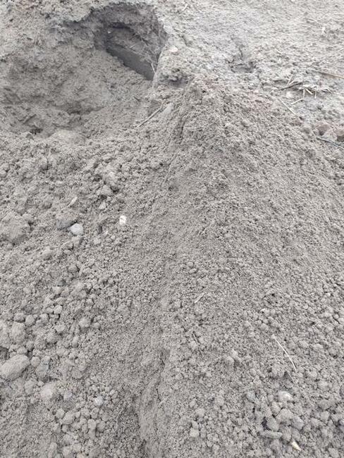 Piach pod kostkę i na fundament, żwir, samochód 4 oś!!!