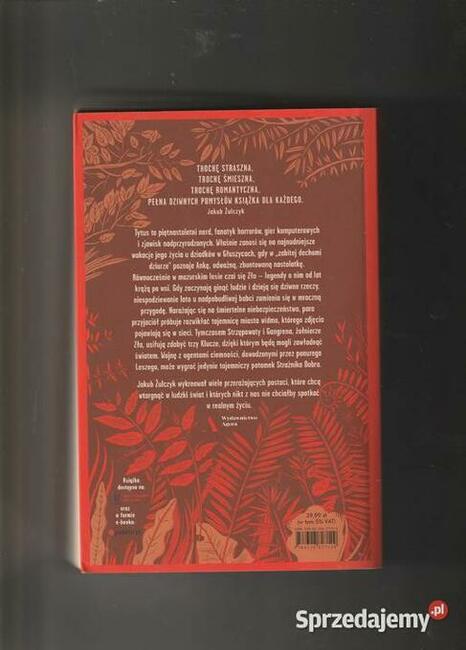 Zmorojewo - Jakub Żulczyk