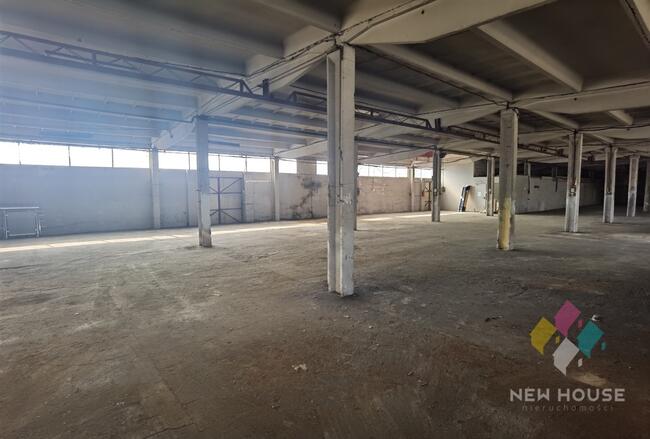 Szczytno, hala do wynajęcia, 4 bramy wjazd TIR