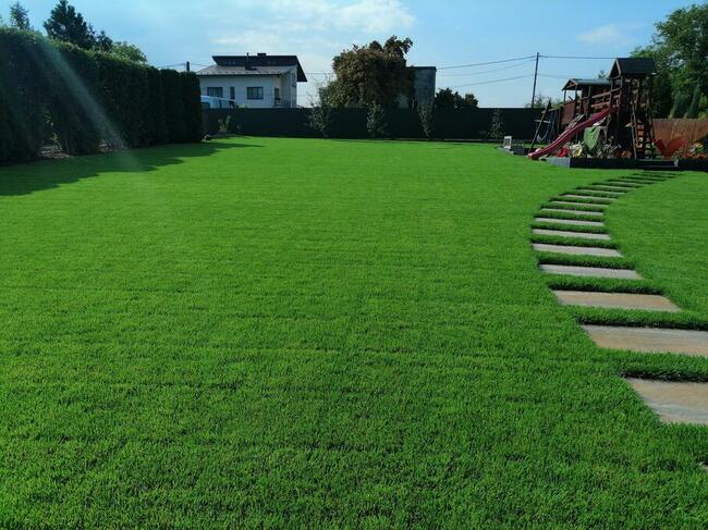 Wertykulacja Trawników , Zakładanie Ogrodów ,Cięcie Krzewów