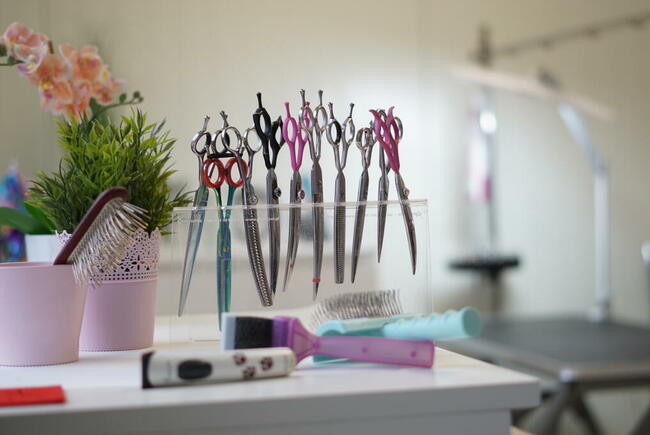 Strzyżenie psów Wieliczka. Salon Urody Psiej. Psi fryzjer