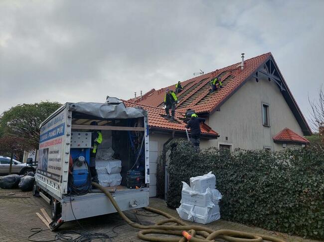 Naprawa izolacji poddaszy po kunach Zwalczanie kuny domowej