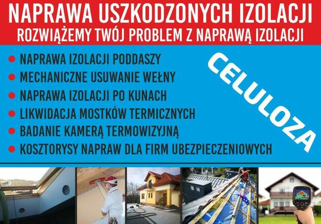 Naprawa izolacji poddaszy po kunach Zwalczanie kuny domowej