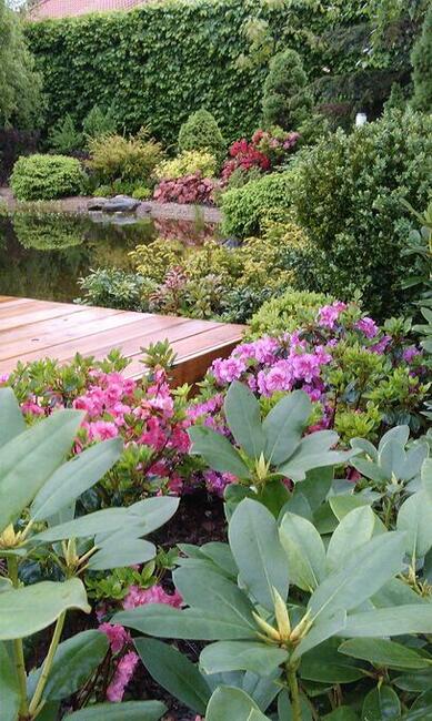 Nawadnianie, Zakładanie Ogrodów, Trawników, Niwelacje terenu