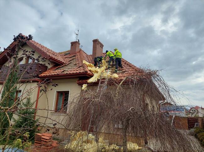 Naprawa izolacji poddaszy po kunach Zwalczanie kuny domowej
