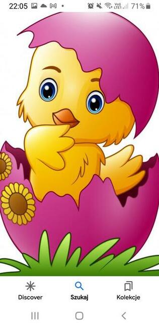 Pierogi wielkanocne wg przepisu Magdy Gessler