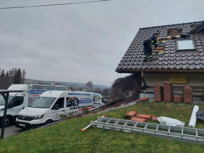 Naprawa izolacji poddaszy po kunach Zwalczanie kuny domowej