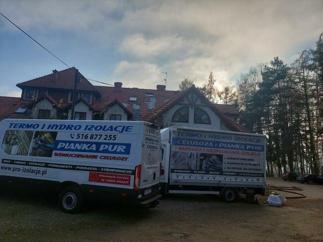 Naprawa izolacji poddaszy po kunach Zwalczanie kuny domowej