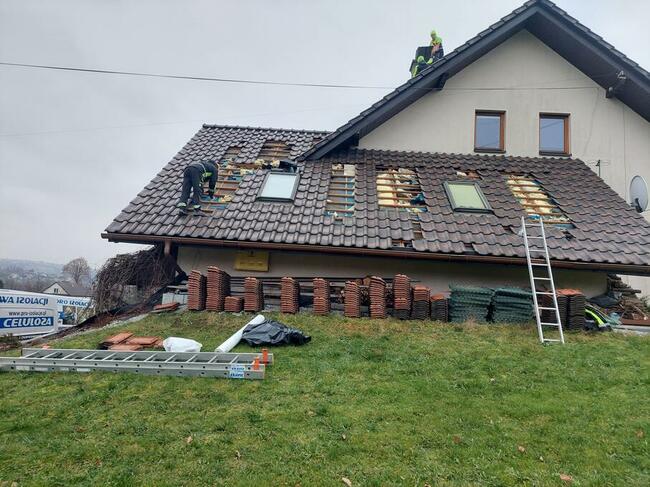 Naprawa izolacji poddaszy po kunach Zwalczanie kuny domowej