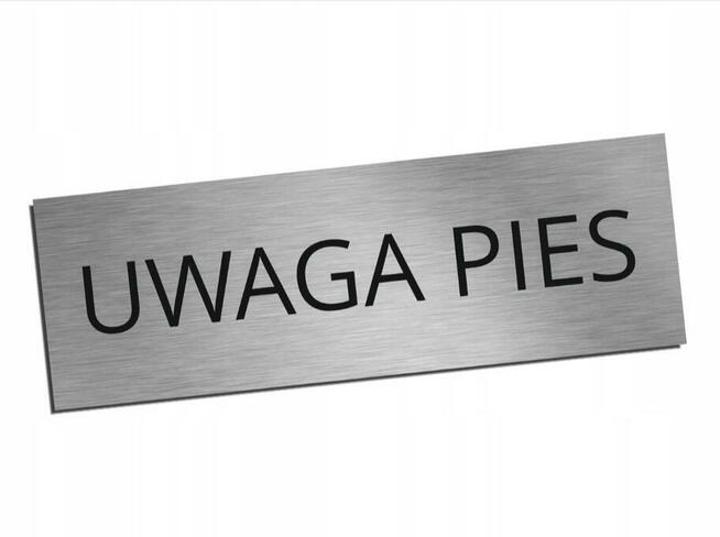 Tabliczki uwaga pies informacje firmowe