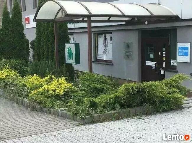 Lekarz POZ