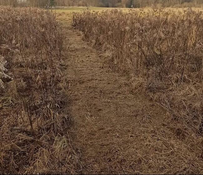 Koszenie trawy nieużytków PULAWY PUŁAWY TANIO