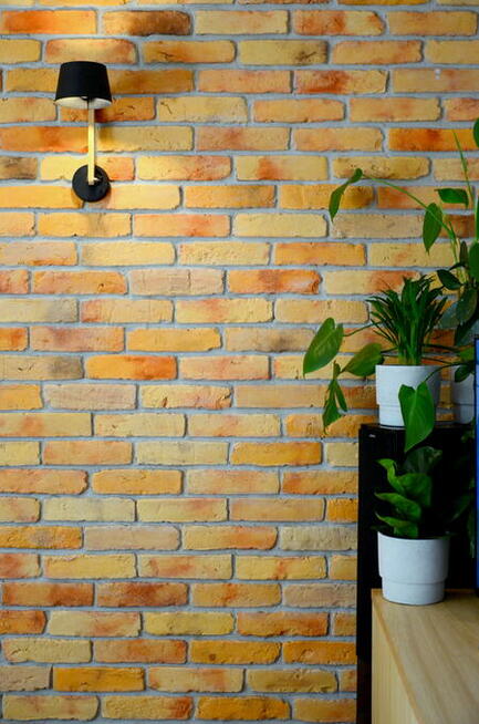 Stara Cegła - Nowe Możliwości: Odkryj Urok Lica Ceglanego!