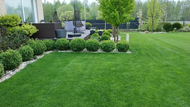 Nawadnianie, Odwodnienia, Trawniki, Drenaże, OGRÓD