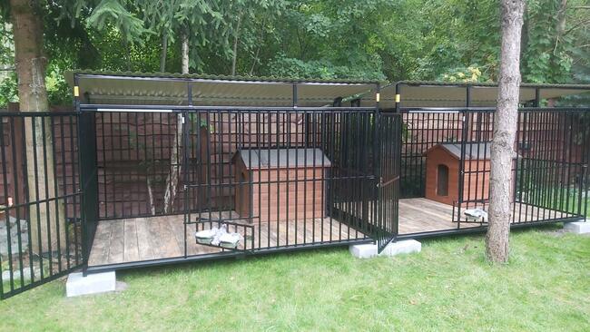 Klatki Klatka Kojce Dla Psów Kojec Dla Psa SZYBKA DOSTAWA