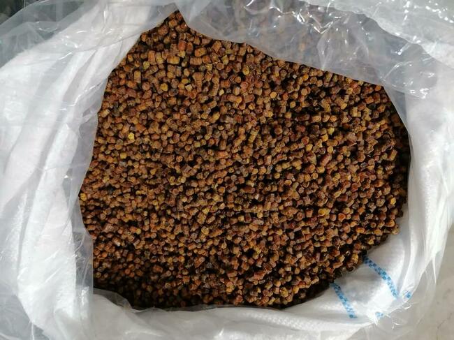 Bee bread from Latvia