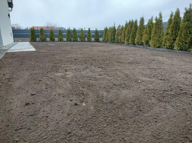 Zakładanie Trawników Usługi Ogrodnicze