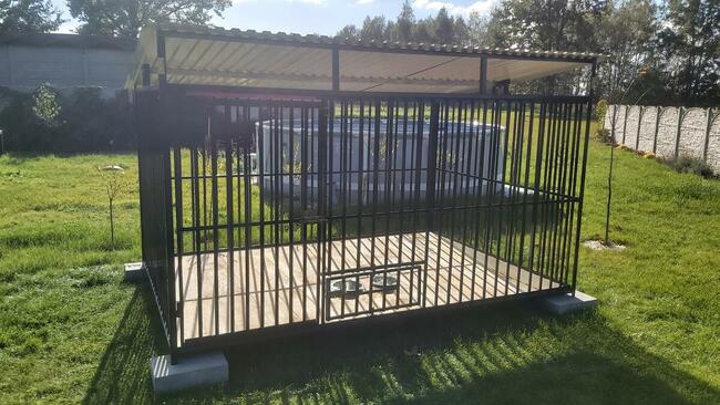 Klatki Klatka Kojce Dla Psów Kojec Dla Psa SZYBKA DOSTAWA