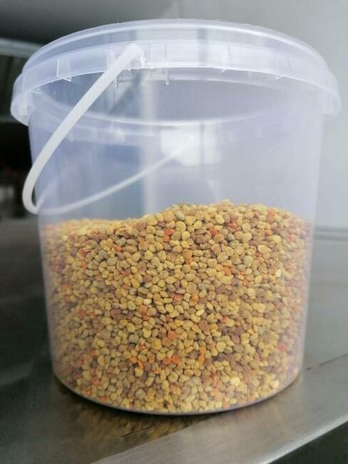 Bee pollen from Latvia