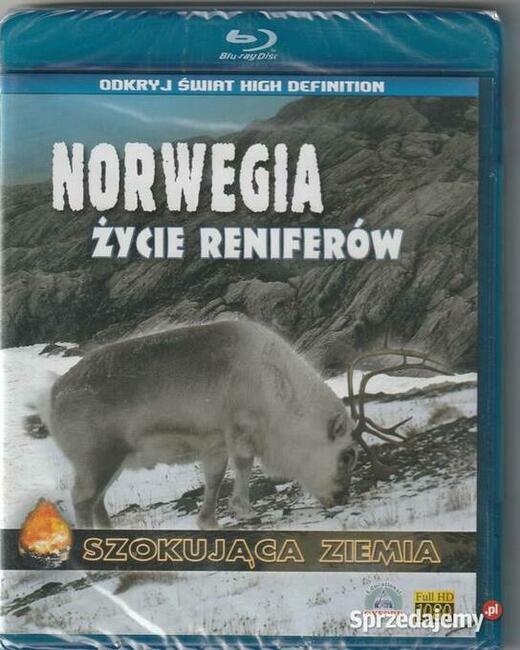 Szokująca Ziemia Norwegia. Życie reniferów Blu-ray