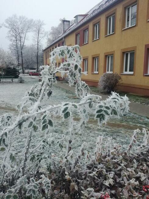 Kawalerka na wynajem od zaraz na dłużej.