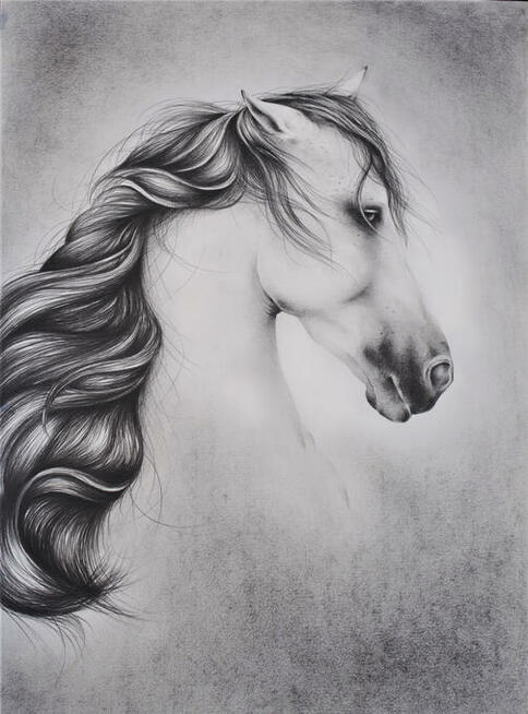 Portret ze zdjęcia na zamówienie